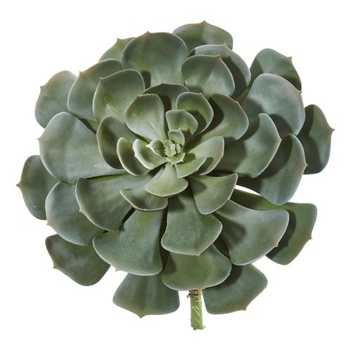 Pianta artificiale echeveria - pianta,