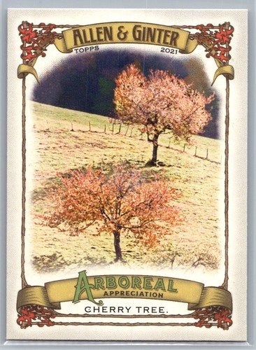 2021 topps allen ginter - 2021, &