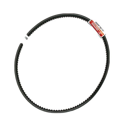 Cinghia alternatore motore - cinghia,