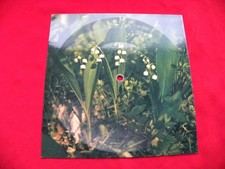 RAFAELLA CARRA do it again