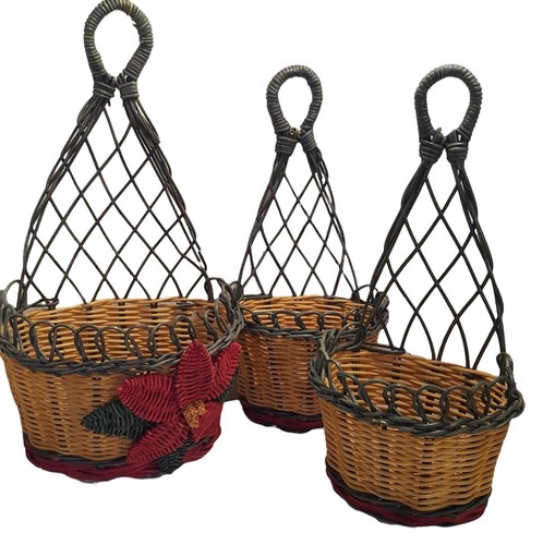 Set cesti poinsettia in - 3,