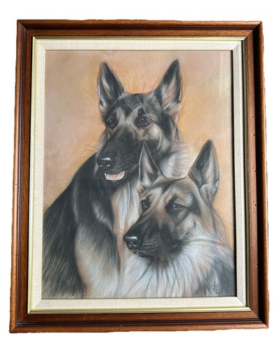 Quadro pastore tedesco tecnica