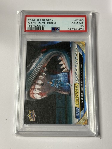 2024 canvas young - 2024-25,