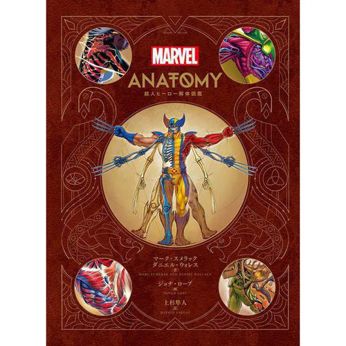 Marvel anatomy superhero - anatomy:,