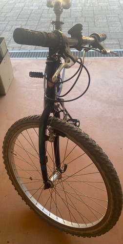 Bici atala uomo - da,