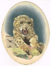 Animale Miniatura Dipinto Di