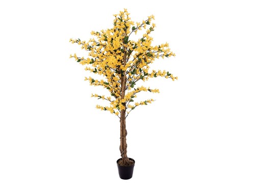 Europalms albero forsizia - europalms,