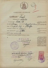 Casellario Giudiziale, 1931, Tribunale di Nicastro (Catanzaro), bollo e timbro