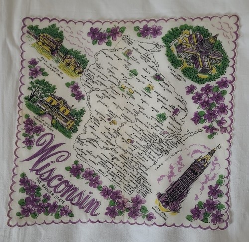 Vintage wisconsin souvenir - vintage,