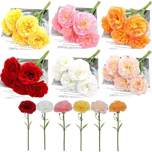 Composizione garofano fiori - , in