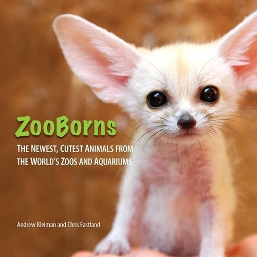 Zooborns the newest cutest - zooborns:,