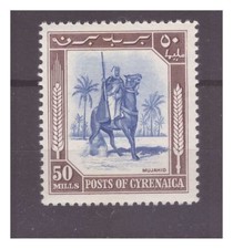 CIRENAICA  AMMINISTRAZIONE