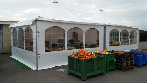 Gazebo pvc professionale 4 - in,