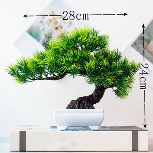 Artificiale pianta bonsai - pianta, in
