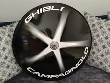 Ruota a disco lenticolare