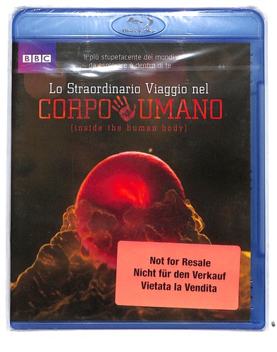 Ebond straordinario viaggio - ebond,