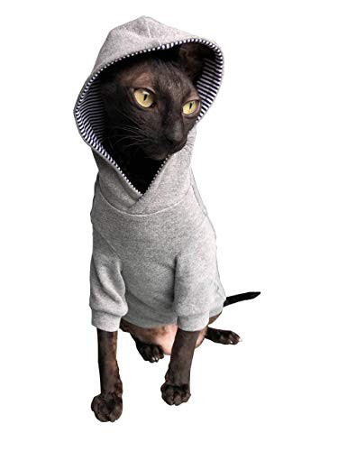 Kotomoda sphynx felpa - sphynx, con