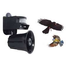 SCACCIA ULTRASUONI UCCELLI CON