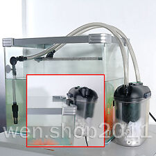 Contenitore spugna media