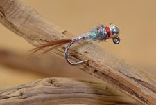 Mosche mosca testa - 6,