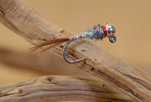 Mosche mosca testa di - 6,