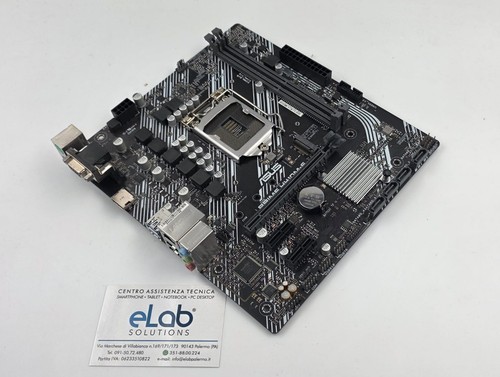 Scheda madre asus - scheda,