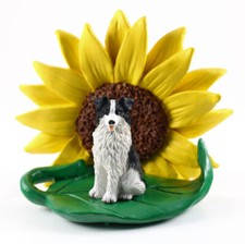 Border Collie Sunflower