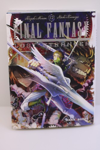 Final fantasy lost - fantasy, stranger