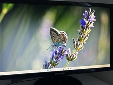 Samsung S24D330H da 24''