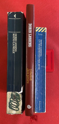 Doris lessing lotto libri - lessing,