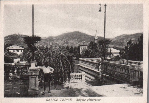 Pavia salice terme - pavia,