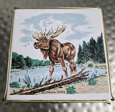 Piastrella ceramica vintage