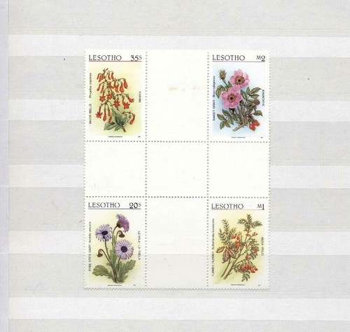 Fiori piante - (921149), fiori,