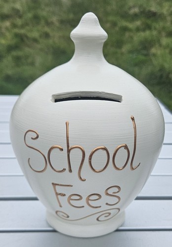 Terramundi school fees money - school,