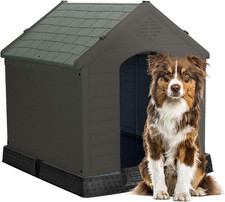 Cuccia per Cani in Plastica