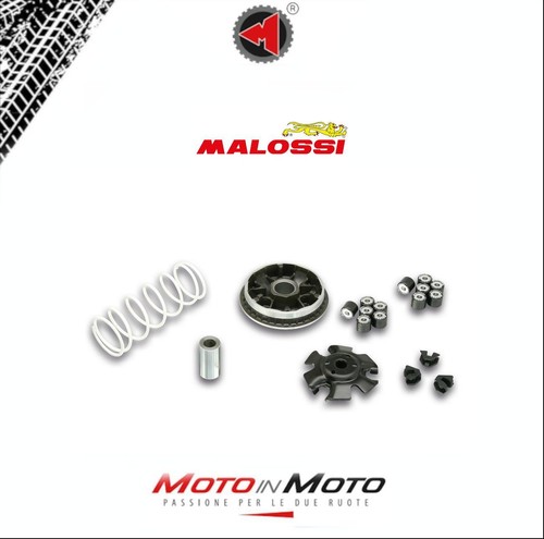 Variatore malossi multivar - malossi,