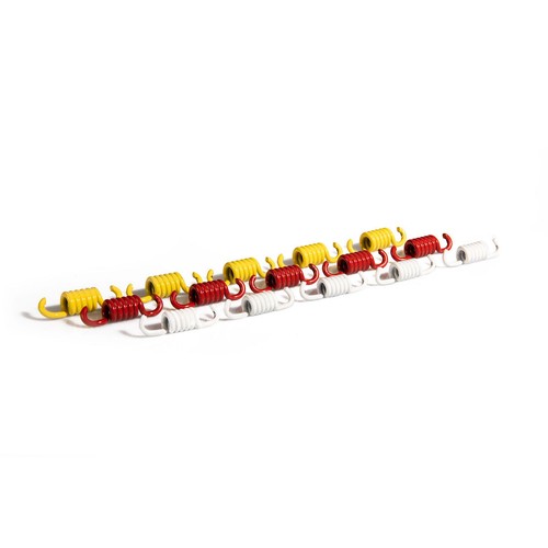 Kit molle malossi per frizione - molle,