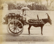 Palermo, Carretto da Vino
