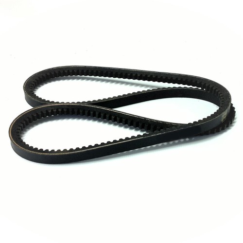 Cinghia trapezoidale 25002055