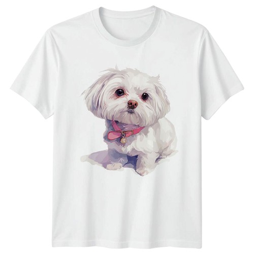 Shirt cane maltese - cane, regalo