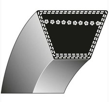Cinghia trapezoidale