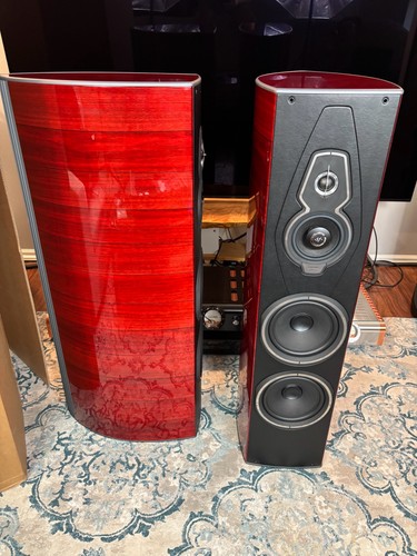 Sonus faber amati - amati, homage