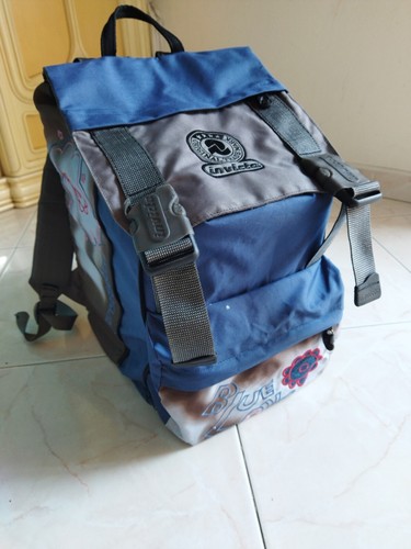 Invicta backpack silver - silver, blue