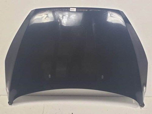 Cofano ford focus sportbreak - focus,