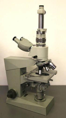 Microscopio binoculare zeiss - microscopio,
