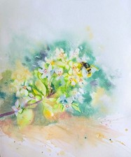 Quadro acquerello originale