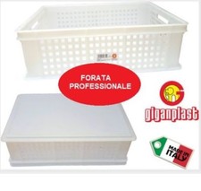 Cassetta forata trasporto per