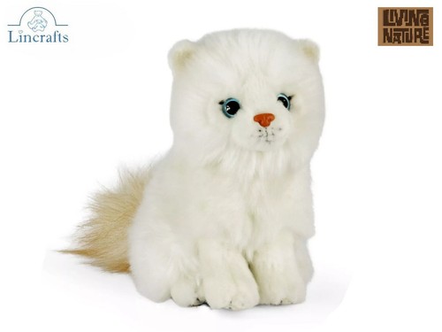 Ragdoll gattino seduto - gattino, peluche