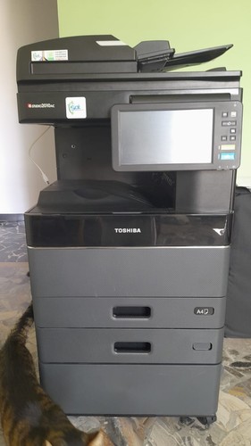 Fisso - fisso, (lenovo
