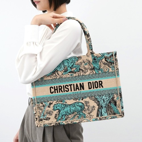Christian dior book tote - dior,